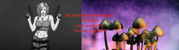 спайс Алексин