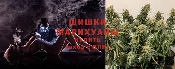 прущие крисы Абаза