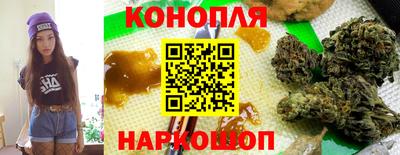 прущие грибы Пушкино