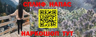 ALPHA PVP Пугачёв