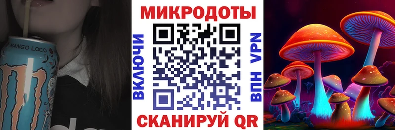 магазин продажи   Салават  Псилоцибиновые грибы Psilocybine cubensis 